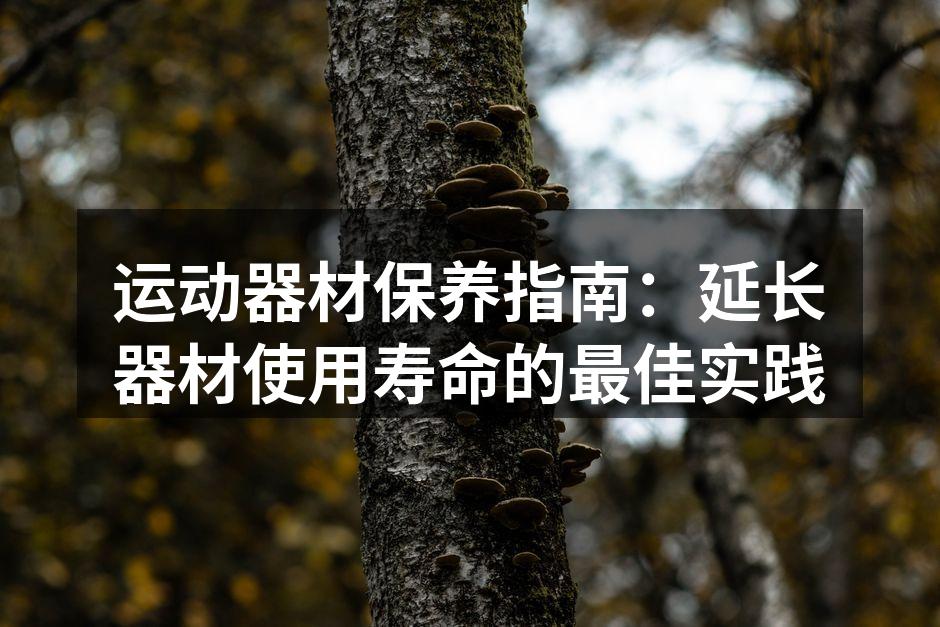 运动器材保养指南：延长器材使用寿命的最佳实践