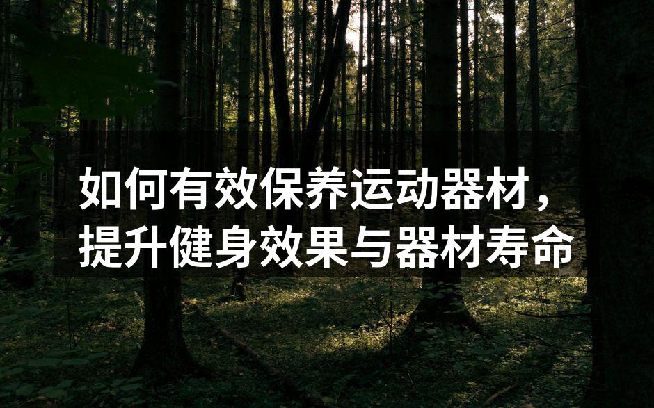 如何有效保养运动器材，提升健身效果与器材寿命
