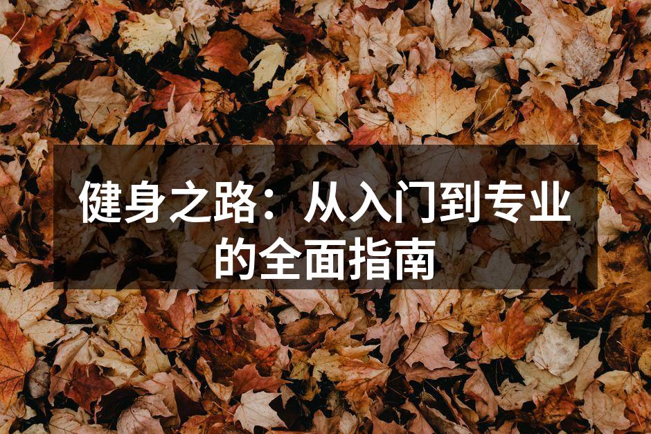 健身之路：从入门到专业的全面指南